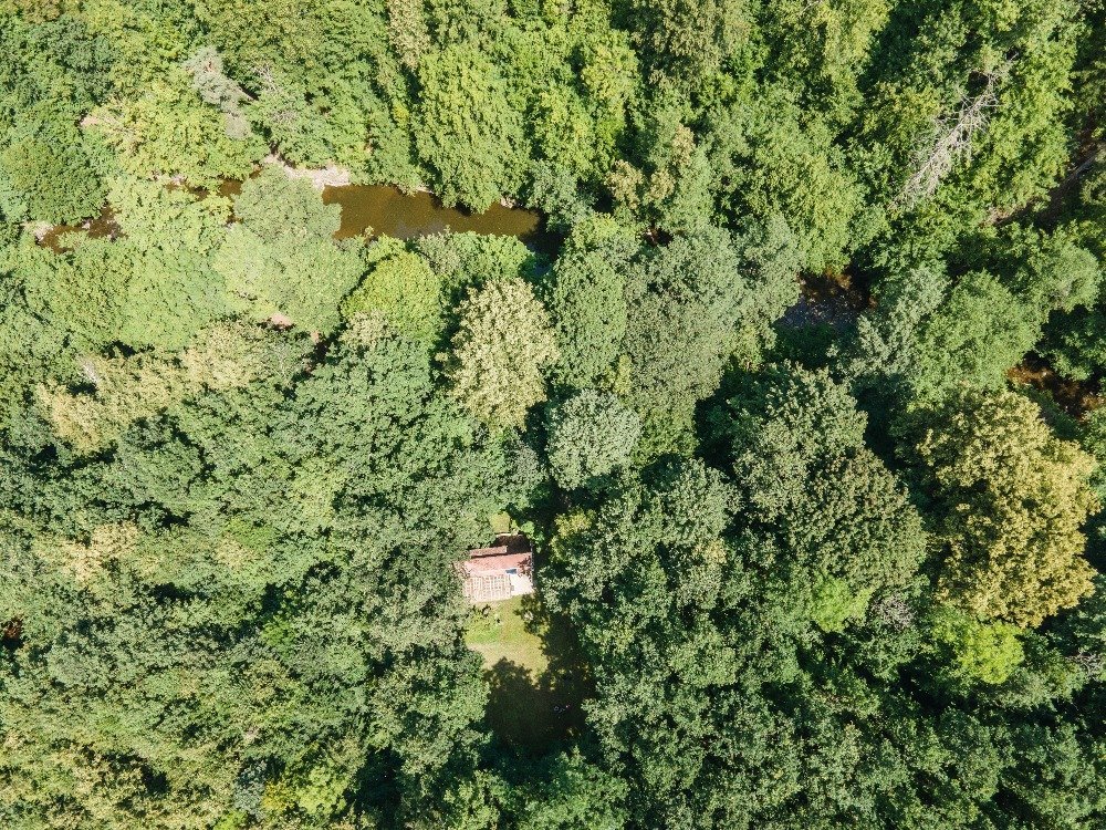 Chata jako malý bod uprostřed lesa nad řekou Odrou